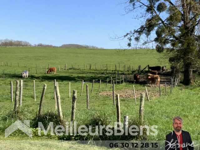 agent-immobilier-montendre-jonzac-stephane-hays-meilleursbiens-estimation-vente-maison-38