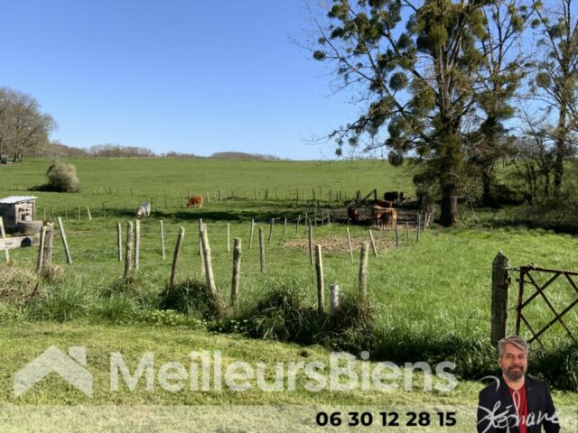 agent-immobilier-montendre-jonzac-stephane-hays-meilleursbiens-estimation-vente-maison-39